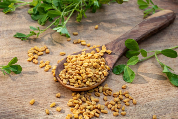 How Fenugreek Can Help Lower Blood Sugar Naturally