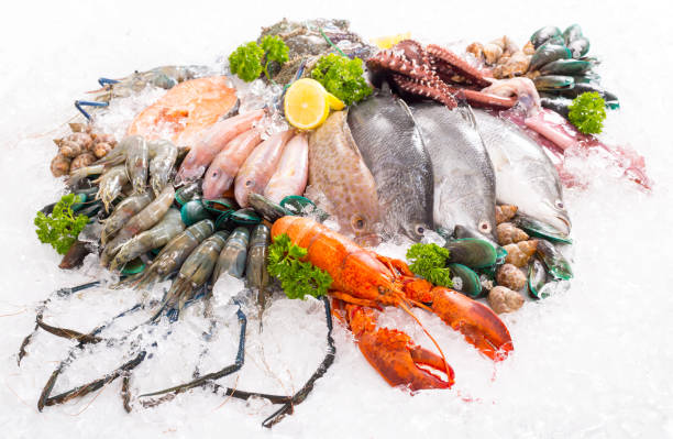 Seafood
