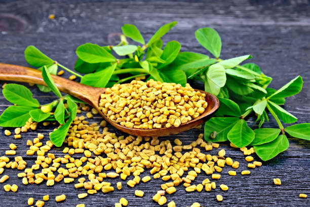 Fenugreek is also one of the Natural Supplements