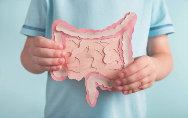 Gut Health and Diabetes